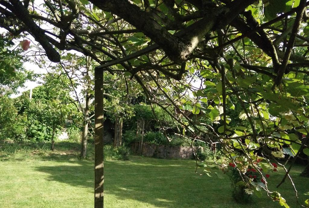 Gentil'Home - Toulouse B&B Prestige Fenouillet  Dış mekan fotoğraf